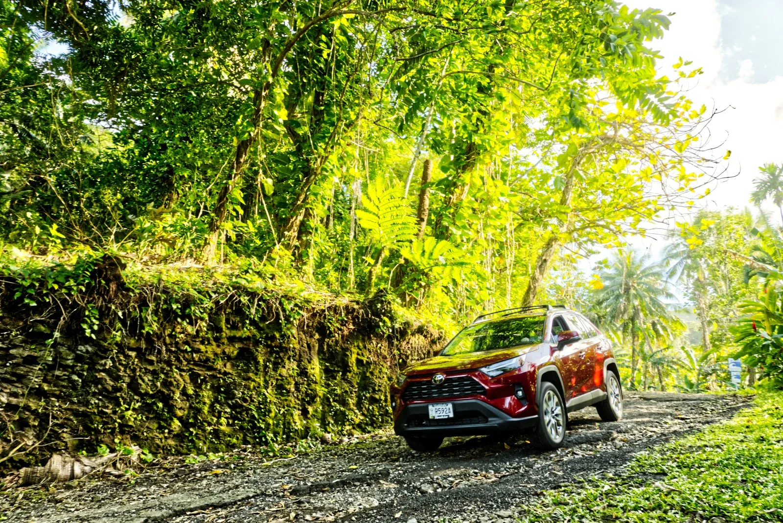 HorizonCar Rental photo 2